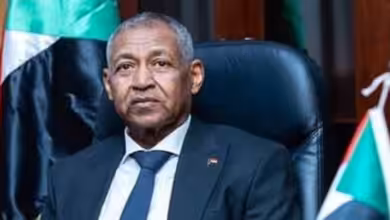 السفير عماد الدين عدوي